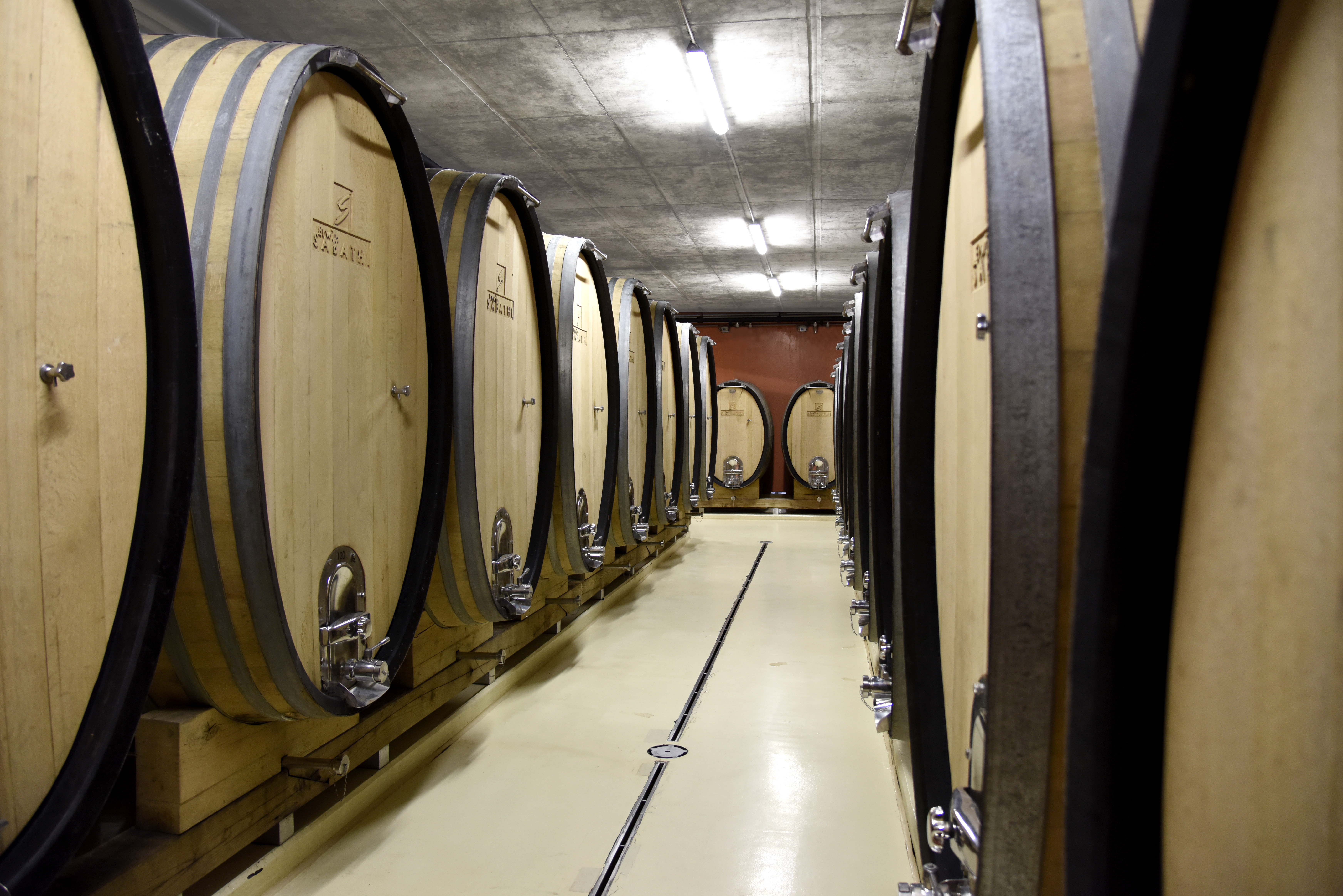 Fasskeller, Weingut Erwin Sabathi Fasskeller, Weingut Erwin Sabathi