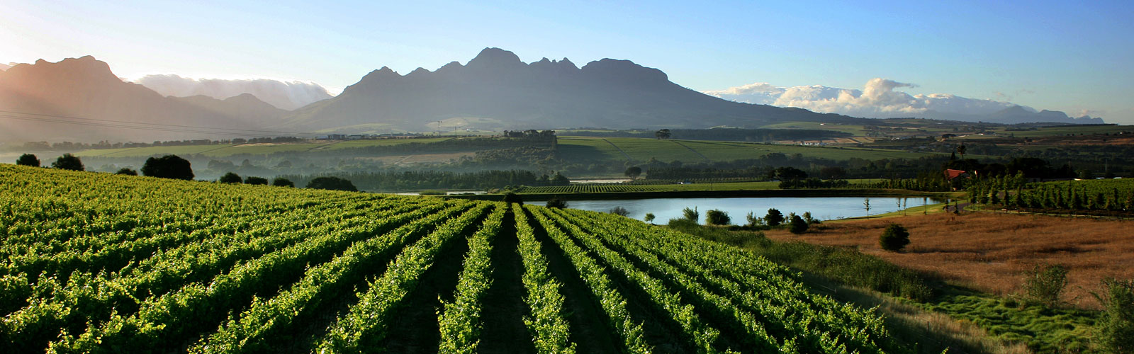 WineTourism-Banner-2020